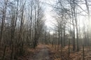 bois de Chavençon